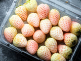 100 WHITE SOUL STRAWBERRY Fragaria Vesca Fruit Flower Berry Seeds