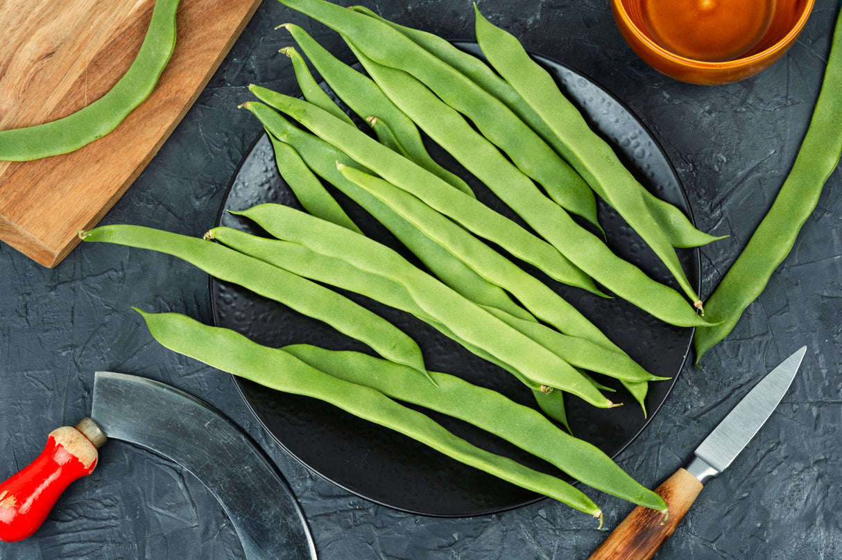 50 ROMA Italian GREEN BEAN Phaseolus Vulgaris Vegetable Seeds