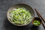 500 JAPANESE MINOWASE RADISH Huge Daikon White Raphanus Sativus Vegetable Seeds