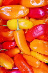 200 SANTA Fe GRANDE PEPPER (Guero Chili Pepper / Yellow Hot Chili Pepper) Capsicum Annuum Vegetable Seeds