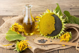 50 HOPI Black Dye SUNFLOWER Helianthus Annuus Flower Seeds