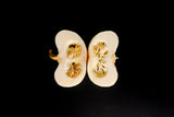 15 WHITE Baby Boo MINI PUMPKIN Miniature Cucurbita Pepo Vegetable Seeds