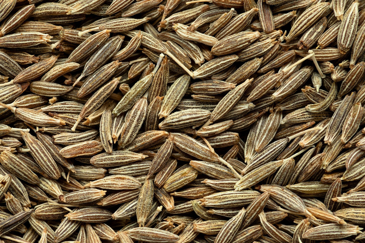 500 Organic CUMIN Cuminum Cyminum Herb Flower Seeds