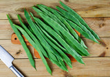 50 ROMANO BUSH BEAN Italian Flat Green Pod Phaseolus Vulgaris Vegetable Seeds