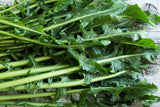 800 EMERALD CATALOGNA ENDIVE Italian Chicory Cichorium Endivia Seeds