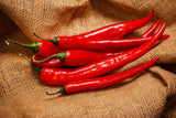 300 LONG Red CAYENNE PEPPER Hot Capsicum Annuum Vegetable Seeds