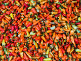 30 BIRDS Eye CHILI PEPPER (Chiltepin Pepper) Capsicum Frutescens Vegetable Seeds
