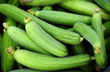 25 LUFFA SPONGE GOURD (Vegetable Sponge / Smooth Luffa / Sponge Loofa / Climbing Okra / Dishrag Gourd) Luffa Cylindrica Vine Seeds