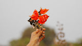 5 FLAME OF THE FOREST Tree Butea Monosperma Palash Orange Red Flower Seeds