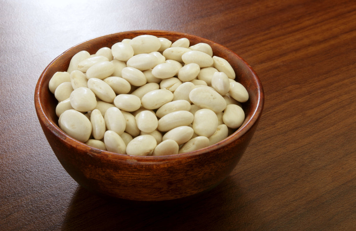50 White GREAT NORTHERN BEAN Bush Phaseolus Vulgaris Vegetable Seeds