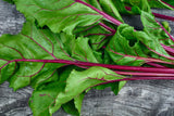 75 Giant Red BEET Mangelwurzel Mangel Mangold Wurzel Mammoth Long Beta Vulgaris Seeds