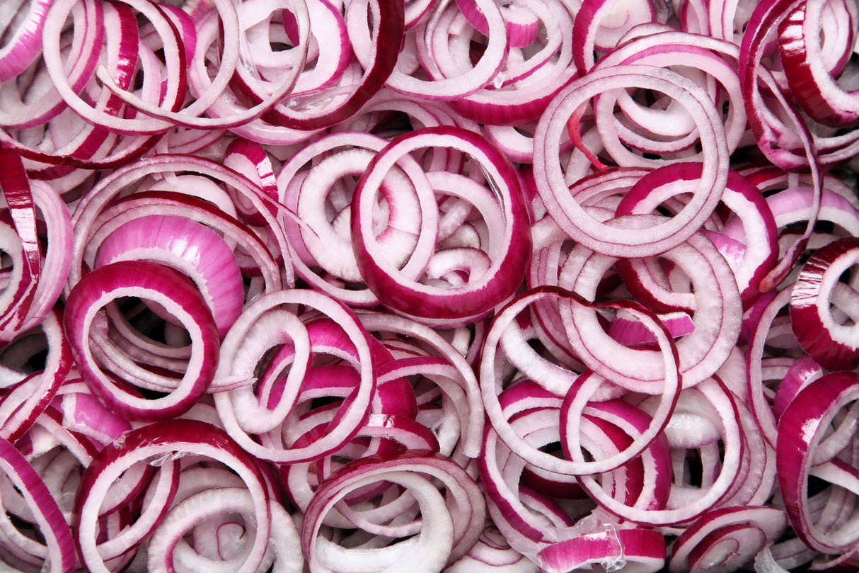 250 RED CREOLE ONION Spicy Cajun Short Day Allium Cepa Vegetable Seeds