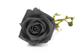 5 BLACK ROSE Rosa Bush Shrub Perennial Flower Seeds