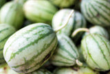 50 DIXIE QUEEN WATERMELON White & Red Citrullus Lanatus Melon Fruit Vine Seeds