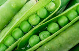 50 GREEN ARROW PEA Heirloom Shelling English Pisum Sativum Vegetable Seeds
