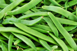 50 ROMA Italian GREEN BEAN Phaseolus Vulgaris Vegetable Seeds