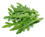2000 ARUGULA Eruca Vesicaria Sativa Greens Vegetable Seeds