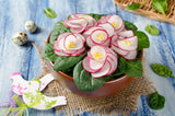 2000 CRIMSON GIANT RADISH Raphanus Sativus Vegetable Seeds