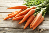 1500 TENDERSWEET CARROT Deep Orange Red Daucus Carota Vegetable Seeds