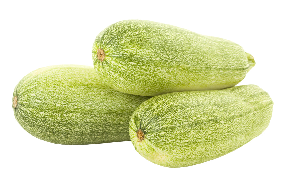 30 GRAY ZUCCHINI Heirloom Summer Bush Squash Cucurbita Pepo Vegetable Seeds