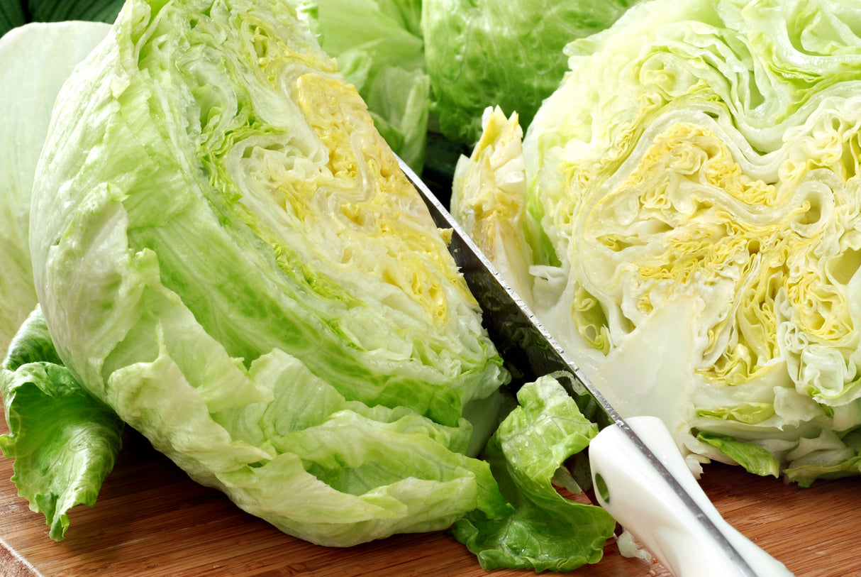 1000 GREAT LAKES LETTUCE Batavian Iceberg Lactuca Sativa Vegetable Seeds