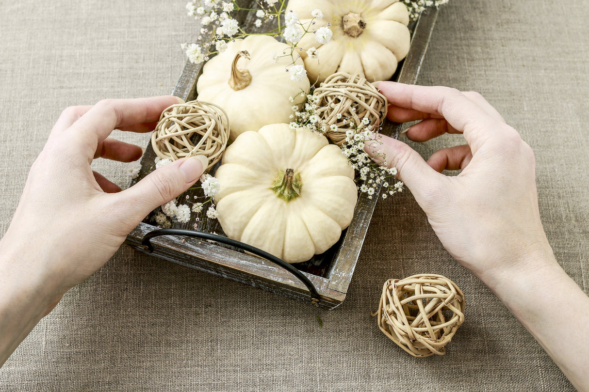 15 WHITE Baby Boo MINI PUMPKIN Miniature Cucurbita Pepo Vegetable Seeds