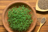 1000 CHIA SAGE / SALVIA Salvia Hispanica Flower Seeds