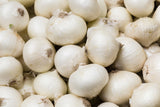 500 Sweet WHITE SPANISH ONION Allium Cepa Vegetable Seeds