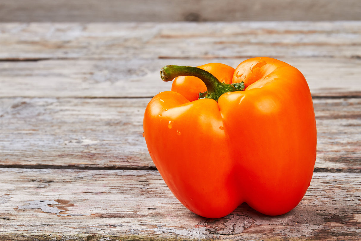 50 ORANGE Sun BELL PEPPER Sweet Capsicum Vegetable Seeds