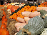 25 Jumbo PINK BANANA SQUASH Cucurbita Maxima Heirloom Winter Vegetable Seeds