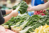300 LUCULLUS SWISS CHARD Beta Vulgaris White Perpetual Spinach Vegetable Seeds