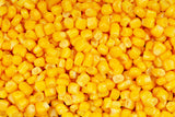 60 YELLOW CORN ' Early Xtra Sweet ' Zea Mays Vegetable Seeds