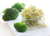 1000 WALTHAM 29 BROCCOLI Brassica Oleracea Vegetable Seeds