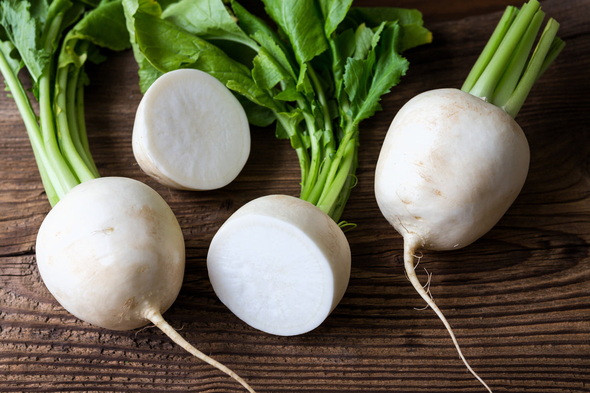3000 SHOGOIN TURNIP White Japanese Brassica Rapa Root & Greens Vegetable Seeds