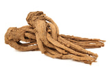 50 FEMALE GINSENG Dong Quai Chinese Angelica Sinensis Herb White Flower Seeds