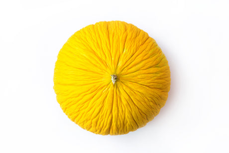 50 Golden Beauty CASABA MELON Cucumis Melo Fruit Seeds