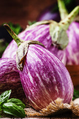 30 Pandora STRIPED ROSE EGGPLANT Solanum Melongena White Fruit Vegetable Seeds