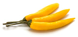 50 GOLDEN CAYENNE PEPPER Hot Yellow Capsicum Annuum Vegetable Seeds