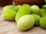 10 WOOLY BEAR GOURD Hedgehog Cucumis Dipsaceus Fuzzy Green Ornamental Seeds