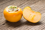 5 AMERICAN PERSIMMON TREE Diospyros Virginiana Fruit Seeds