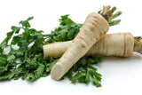 1000 HAMBURG ROOTED PARSLEY Petroselinum Crispum Tuberosum Root Vegetable Seeds