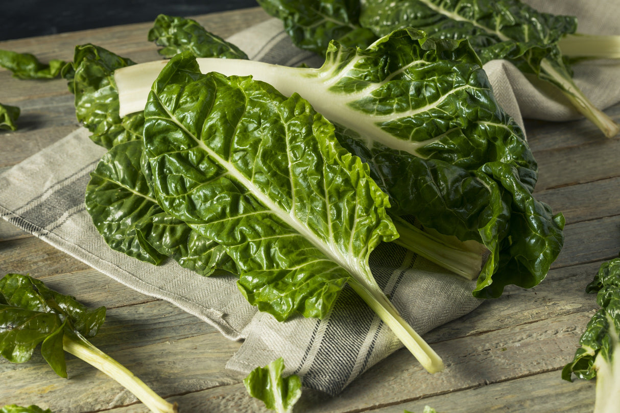300 LUCULLUS SWISS CHARD Beta Vulgaris White Perpetual Spinach Vegetable Seeds