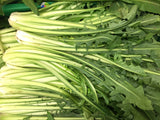 800 EMERALD CATALOGNA ENDIVE Italian Chicory Cichorium Endivia Seeds