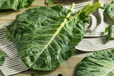 250 VATES COLLARDS Collard Greens Brassica Oleracea Acephala Vegetable Seeds