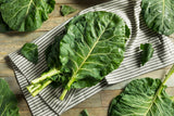 1000 GEORGIA COLLARDS (SOUTHERN or Walking Collards) Collard Greens Brassica Oleracea Acephala Vegetable Seeds