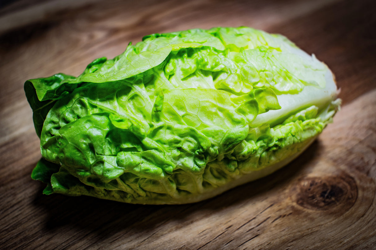 3000 LITTLE GEM LETTUCE Small Romaine Butterhead Lactuca Sativa Vegetable Seeds