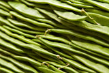 50 ROMA Italian GREEN BEAN Phaseolus Vulgaris Vegetable Seeds