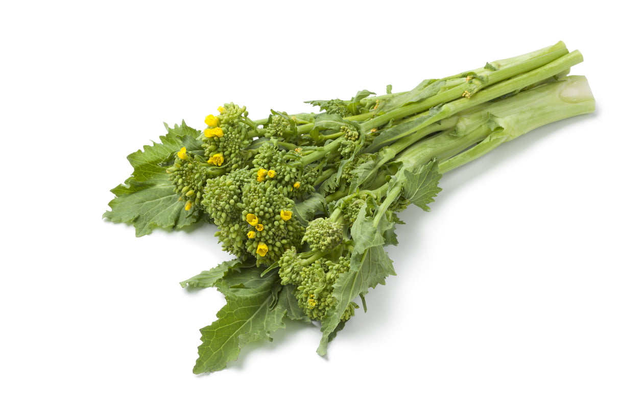 1000 EARLY Fall RAPINI BROCCOLI (Broccoli Raab / Broccoli Rabe / Brocoletti / Cima di Rapa) Brassica Ruvo Vegetable Seeds