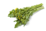1000 EARLY Fall RAPINI BROCCOLI (Broccoli Raab / Broccoli Rabe / Brocoletti / Cima di Rapa) Brassica Ruvo Vegetable Seeds