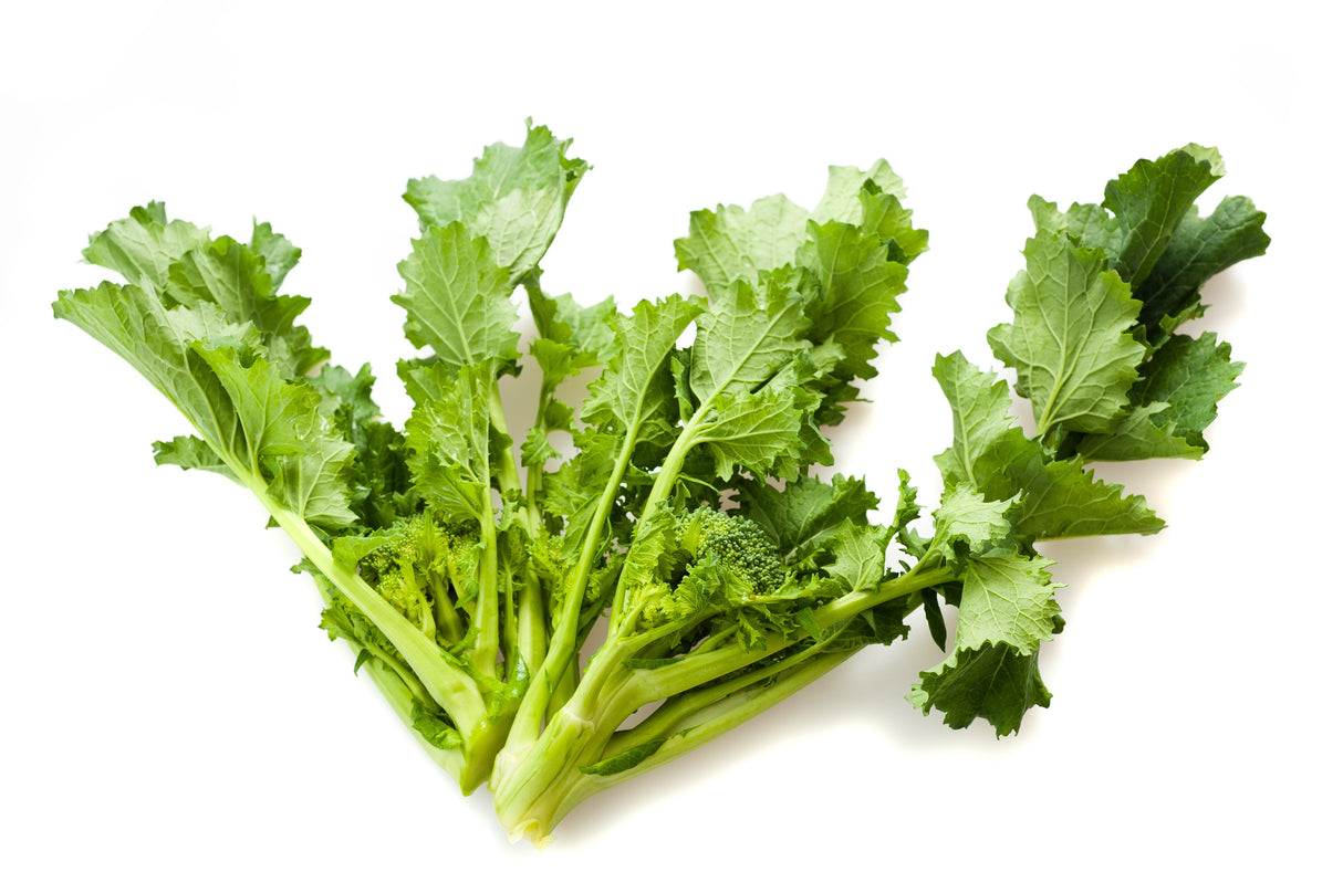 1000 EARLY Fall RAPINI BROCCOLI (Broccoli Raab / Broccoli Rabe / Brocoletti / Cima di Rapa) Brassica Ruvo Vegetable Seeds